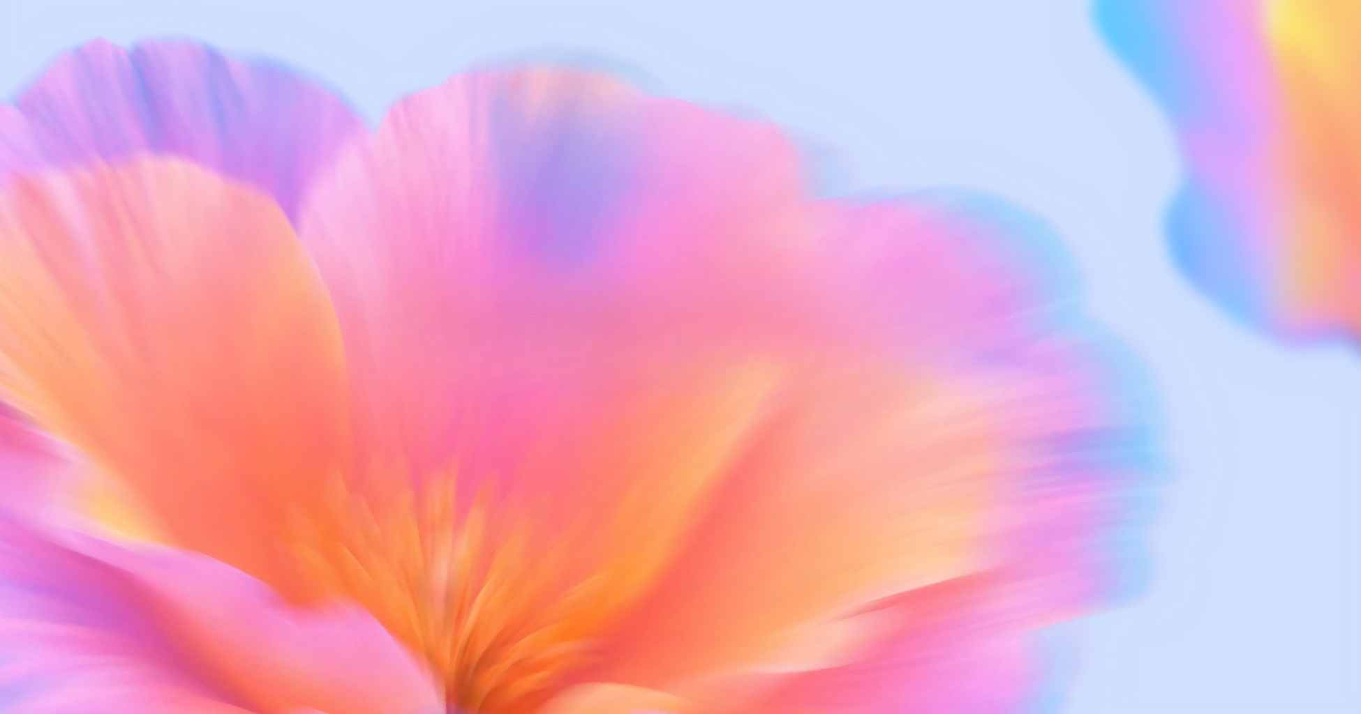 Desktop Background